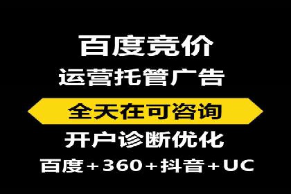 SEM竞价广告的智能优化：成功案例解读
