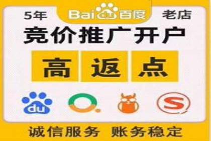 SEM托管服务助力电商平台流量翻倍的秘诀